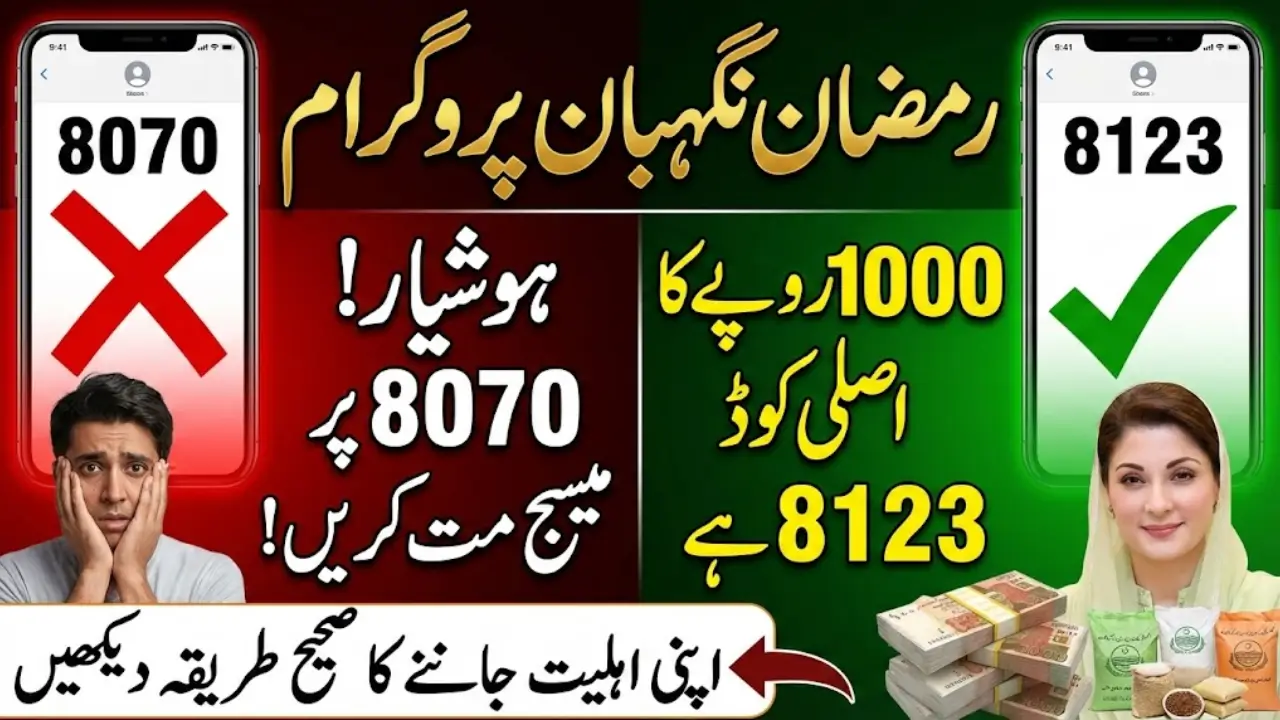 Ramzan Nigahban Program Official Code and Check PSER Registration Details